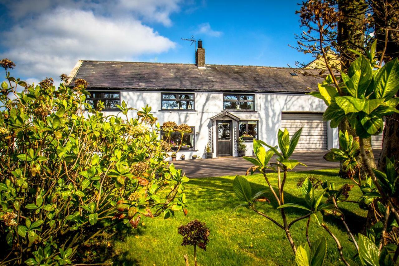 Mallard Cottage Whitehead Bagian luar foto